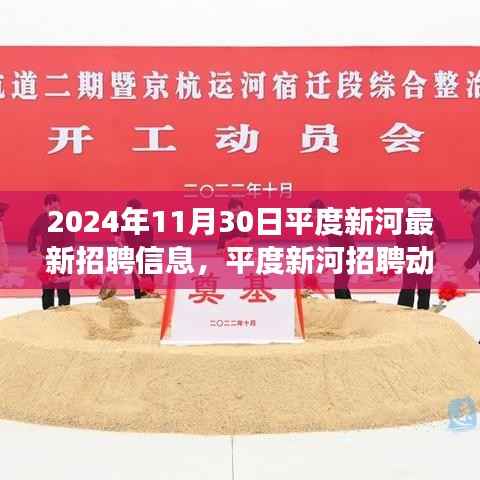 平度新河最新招聘动态揭秘，职场机遇探寻与未来职业发展三大要点