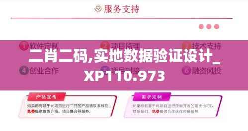 二肖二码,实地数据验证设计_XP110.973