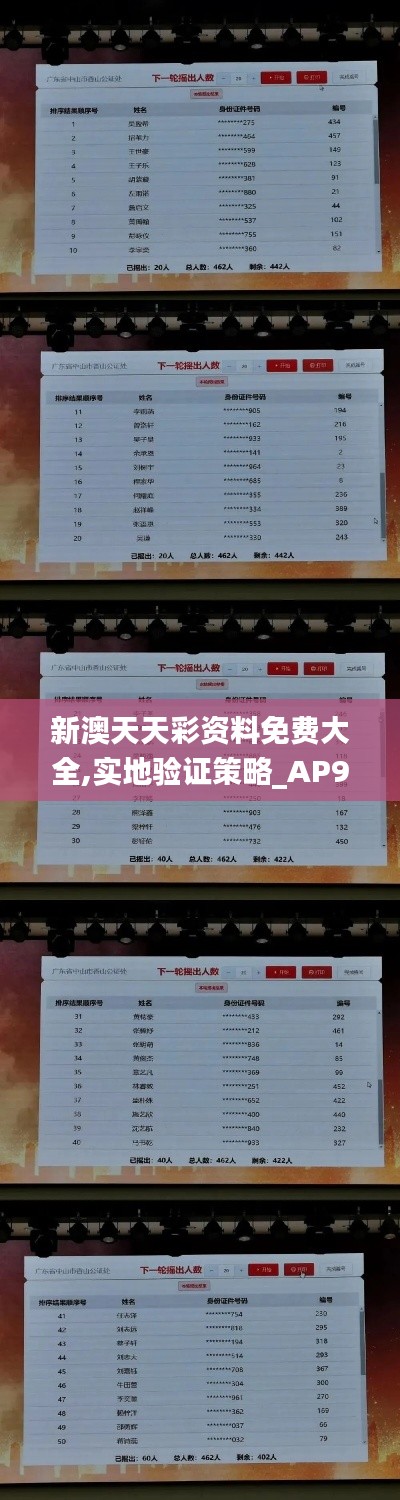 新澳天天彩资料免费大全,实地验证策略_AP9.262