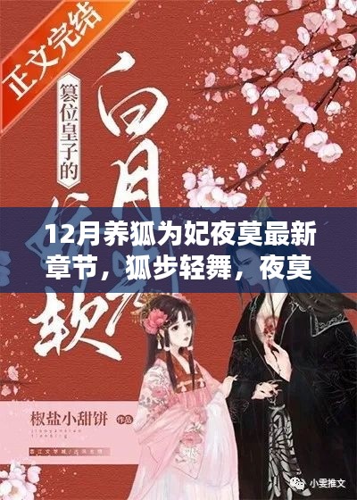 十二月暖阳下的养狐为妃,狐步轻舞,夜莫情深的最新章节