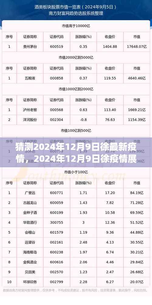 2024年12月9日徐地区疫情展望，背景、进展与影响分析
