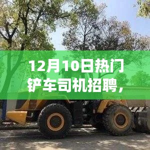 铲车司机招聘启事,寻找行业精英,开启职业新征程