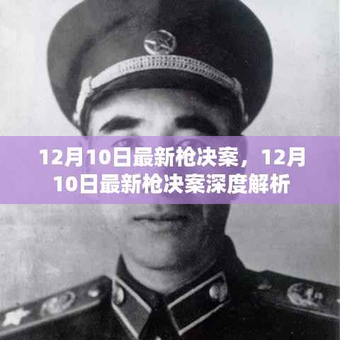 12月10日最新枪决案,深度解析与报道