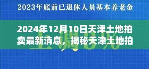 天津土地拍卖最新动态与小巷特色小店探秘,2024年12月10日揭秘幕后故事