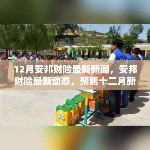 12月安邦财险最新动态与观点解析