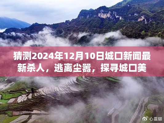 城口杀人案疑云重重,心灵探寻之旅,远离尘嚣聚焦城口美景