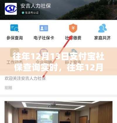 支付宝社保查询实时体验,便捷操作与实时更新服务