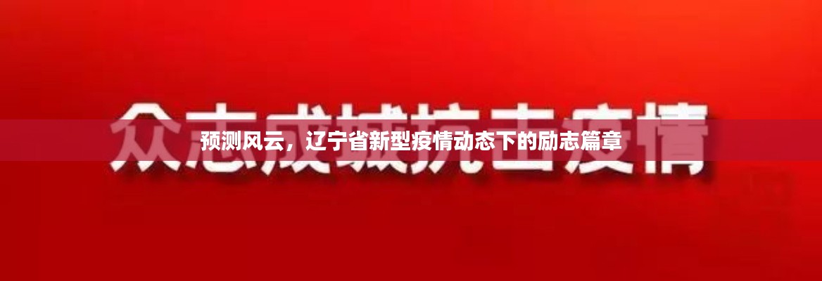 辽宁省疫情风云下的励志篇章,预测风云中的前行力量