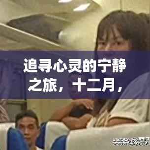 丰容盛鬋 第2页