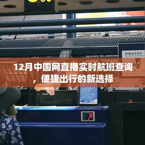 中国网直播实时航班查询,便捷出行首选
