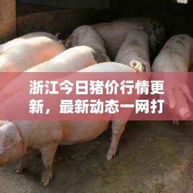 浙江今日猪价行情更新,最新动态一网打尽!