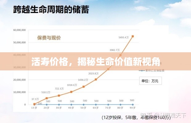 活寿价格,揭秘生命价值新视角