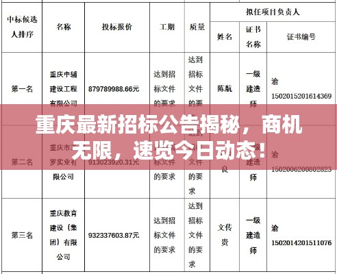 重庆最新招标公告揭秘,商机无限,速览今日动态!